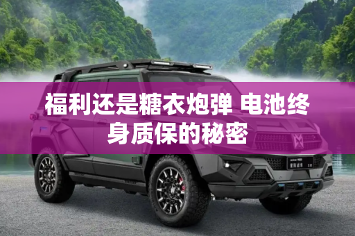 福利还是糖衣炮弹 电池终身质保的秘密