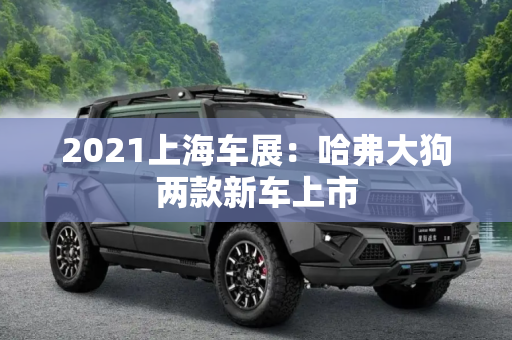 2021上海车展：哈弗大狗两款新车上市
