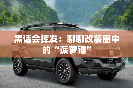 黑话会挥发：聊聊改装圈中的“菠萝锤”