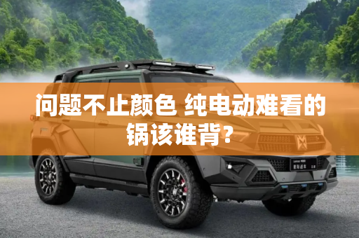 问题不止颜色 纯电动难看的锅该谁背？