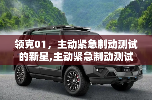 领克01，主动紧急制动测试的新星,主动紧急制动测试（20）领克01来了！