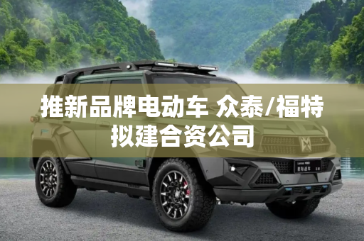 推新品牌电动车 众泰/福特拟建合资公司