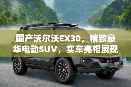 国产沃尔沃EX30，精致豪华电动SUV，实车亮相展现北欧魅力,精致豪华电动 国产沃尔沃EX30实车亮相