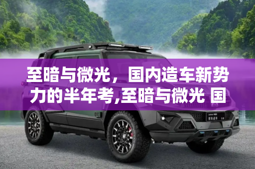 至暗与微光，国内造车新势力的半年考,至暗与微光 国内造车新势力的半年考