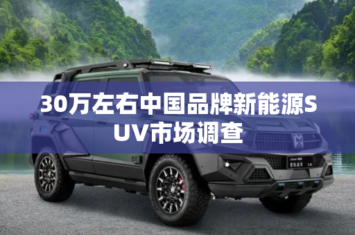 30万左右中国品牌新能源SUV市场调查