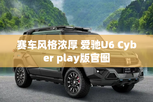 赛车风格浓厚 爱驰U6 Cyber play版官图