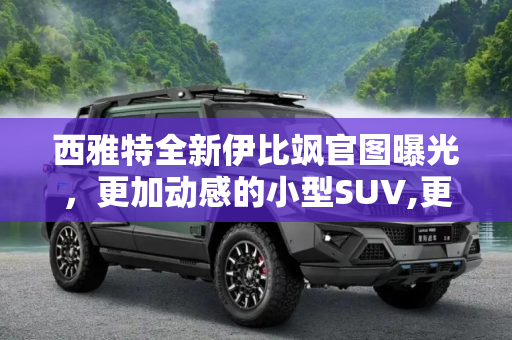 西雅特全新伊比飒官图曝光，更加动感的小型SUV,更加动感 西雅特全新伊比飒官图曝光