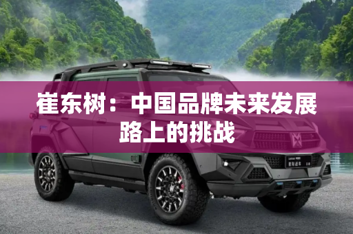 崔东树：中国品牌未来发展路上的挑战