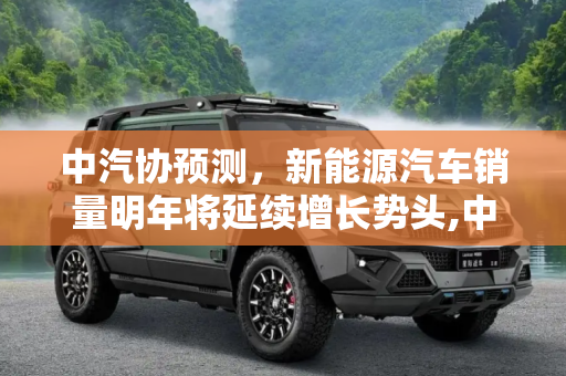 中汽协预测，新能源汽车销量明年将延续增长势头,中汽协：新能源汽车销量明年继续增长