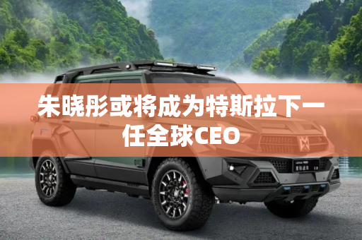 朱晓彤或将成为特斯拉下一任全球CEO