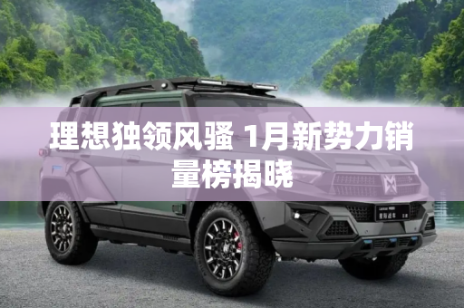 理想独领风骚 1月新势力销量榜揭晓
