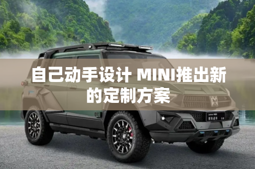 自己动手设计 MINI推出新的定制方案