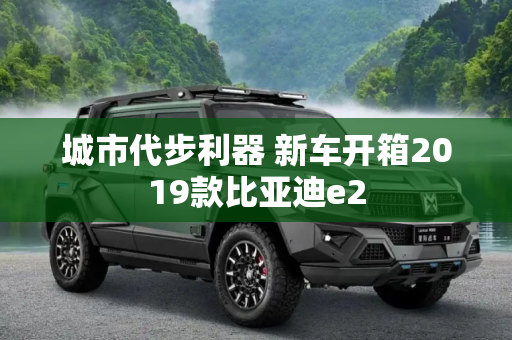 城市代步利器 新车开箱2019款比亚迪e2