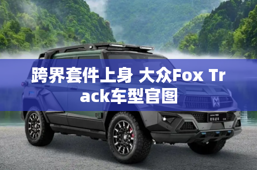 跨界套件上身 大众Fox Track车型官图
