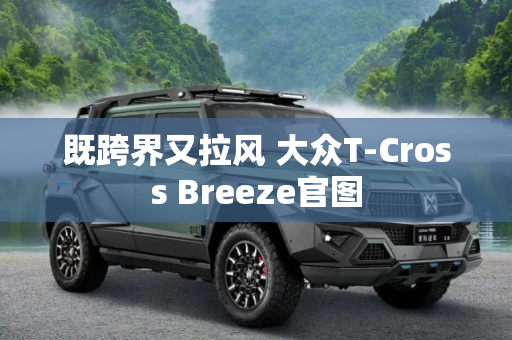 既跨界又拉风 大众T-Cross Breeze官图