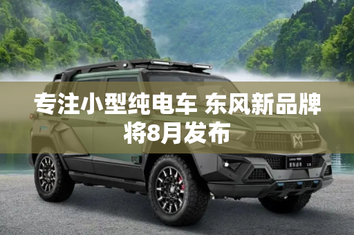 专注小型纯电车 东风新品牌将8月发布