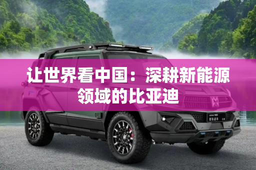 让世界看中国：深耕新能源领域的比亚迪