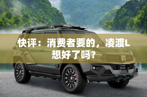 快评：消费者要的，凌渡L想好了吗？