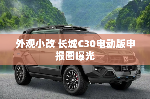 外观小改 长城C30电动版申报图曝光