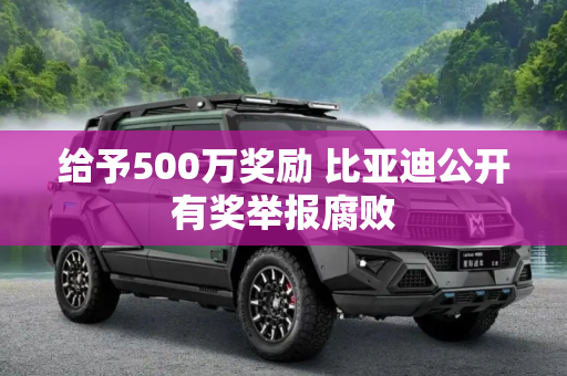 给予500万奖励 比亚迪公开有奖举报腐败