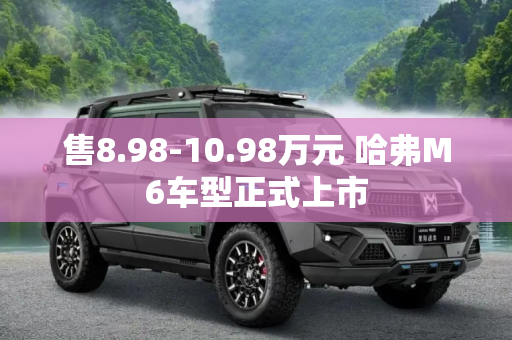 售8.98-10.98万元 哈弗M6车型正式上市