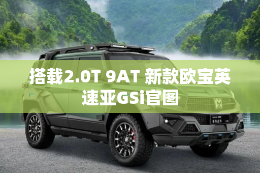 搭载2.0T 9AT 新款欧宝英速亚GSi官图