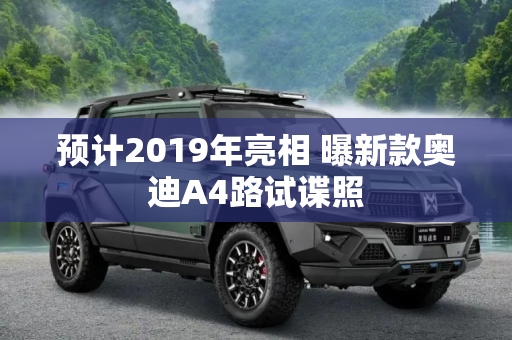 预计2019年亮相 曝新款奥迪A4路试谍照