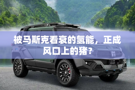 被马斯克看衰的氢能，正成风口上的猪？