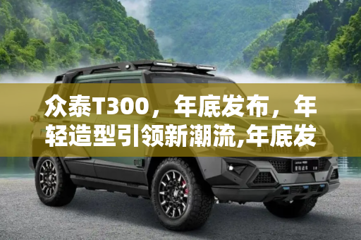众泰T300，年底发布，年轻造型引领新潮流,年底发布/造型年轻 众泰T300效果图曝光