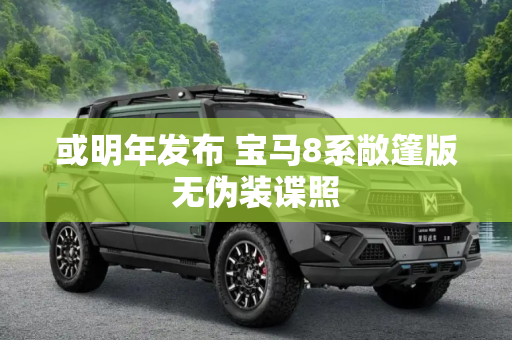 或明年发布 宝马8系敞篷版无伪装谍照