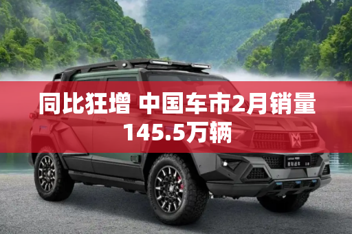 同比狂增 中国车市2月销量145.5万辆