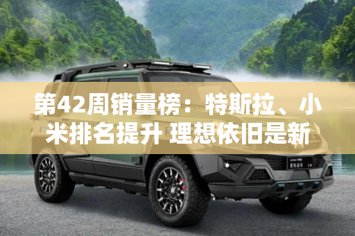 第42周销量榜：特斯拉、小米排名提升 理想依旧是新势力销量第一