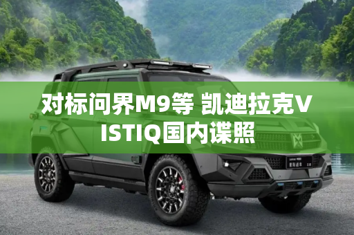 对标问界M9等 凯迪拉克VISTIQ国内谍照