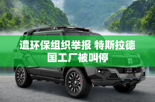 遭环保组织举报 特斯拉德国工厂被叫停