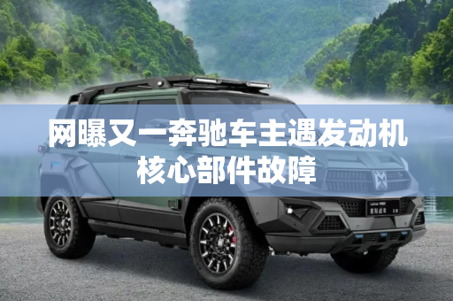 网曝又一奔驰车主遇发动机核心部件故障