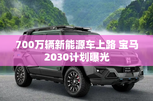 700万辆新能源车上路 宝马2030计划曝光