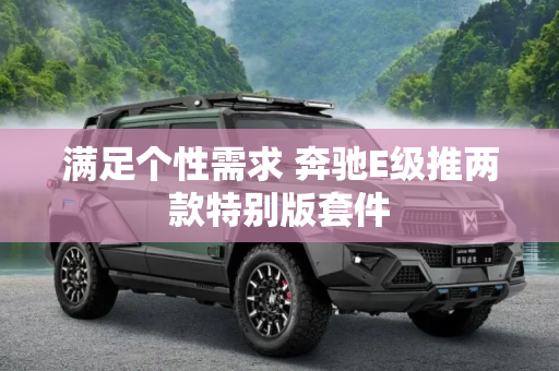 满足个性需求 奔驰E级推两款特别版套件