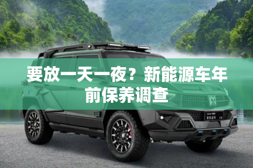 要放一天一夜？新能源车年前保养调查