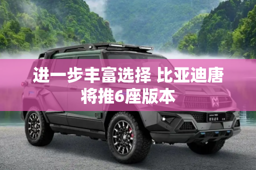 进一步丰富选择 比亚迪唐将推6座版本