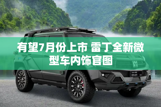有望7月份上市 雷丁全新微型车内饰官图