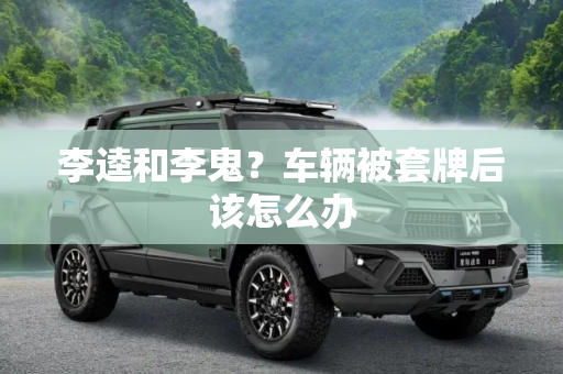 李逵和李鬼？车辆被套牌后该怎么办