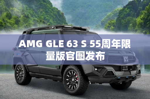 AMG GLE 63 S 55周年限量版官图发布