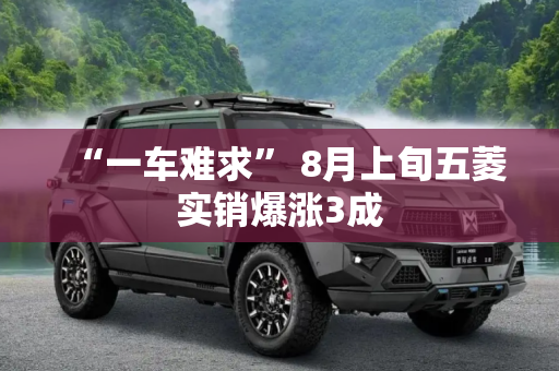 “一车难求” 8月上旬五菱实销爆涨3成