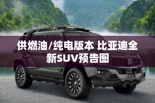 供燃油/纯电版本 比亚迪全新SUV预告图