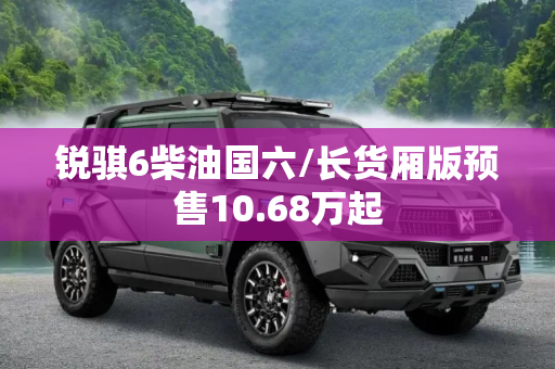锐骐6柴油国六/长货厢版预售10.68万起