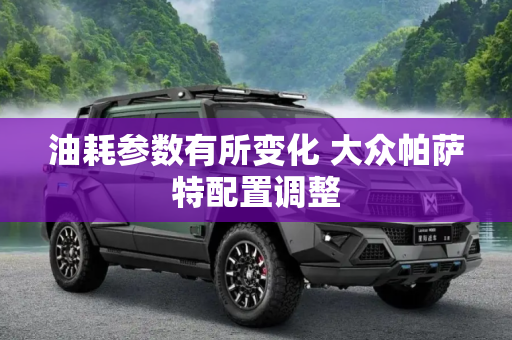 油耗参数有所变化 大众帕萨特配置调整