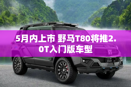 5月内上市 野马T80将推2.0T入门版车型
