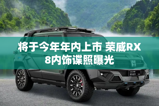 将于今年年内上市 荣威RX8内饰谍照曝光