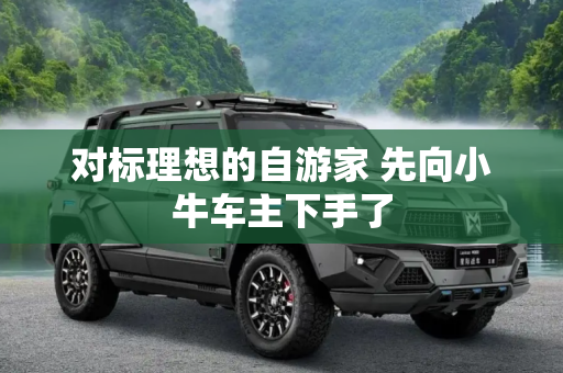 对标理想的自游家 先向小牛车主下手了