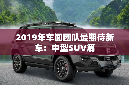 2019年车闻团队最期待新车：中型SUV篇
